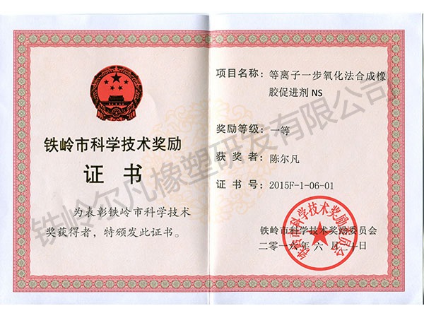 2015铁岭市科技奖励：技术发明一等奖