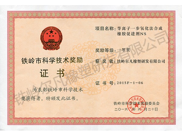 2015铁岭市科技奖励：技术发明一等奖